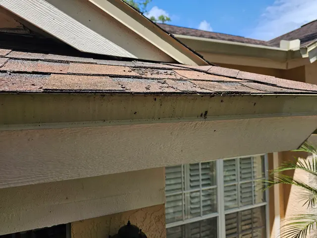 Friendly Pest Solutions, LLC — customer photo 9