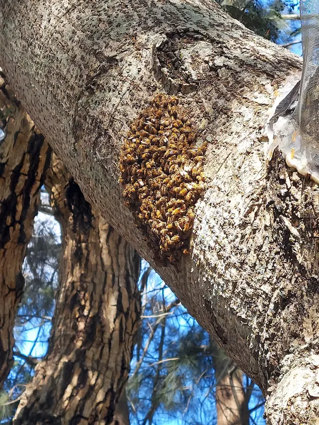 Friendly Pest Solutions, LLC — customer photo 7