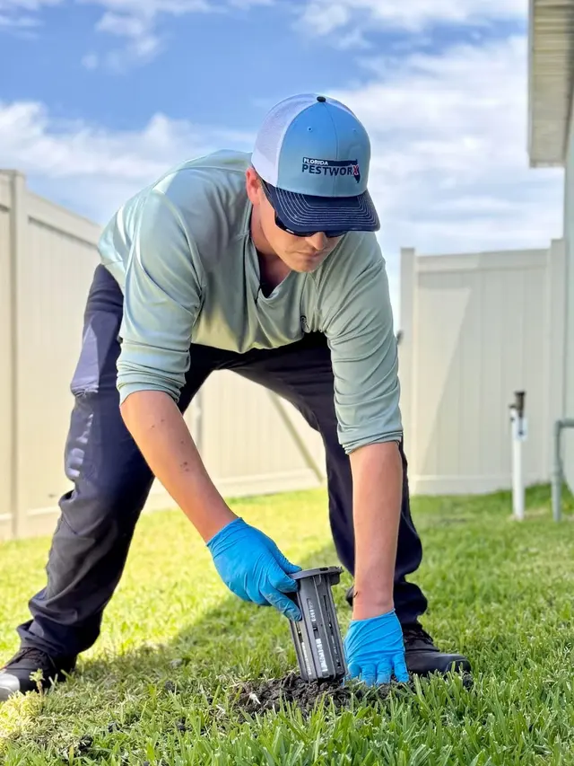 Florida Pestworx — customer photo 2