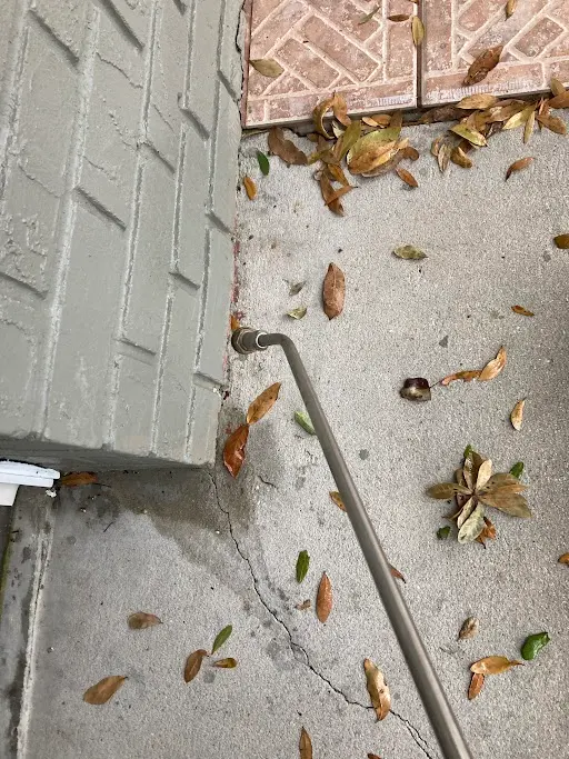 Dave's Pest Control - Lakeland — photo from the business 9