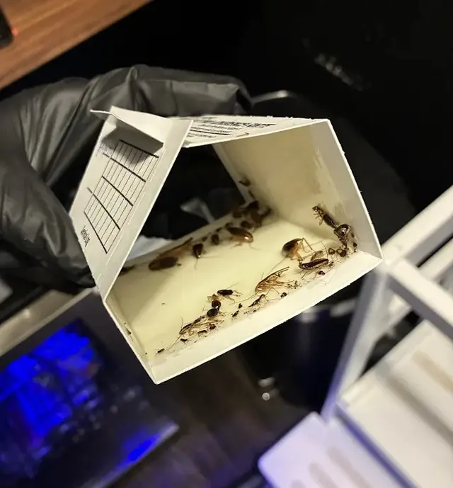 Dave's Pest Control - Lakeland — photo from the business 4
