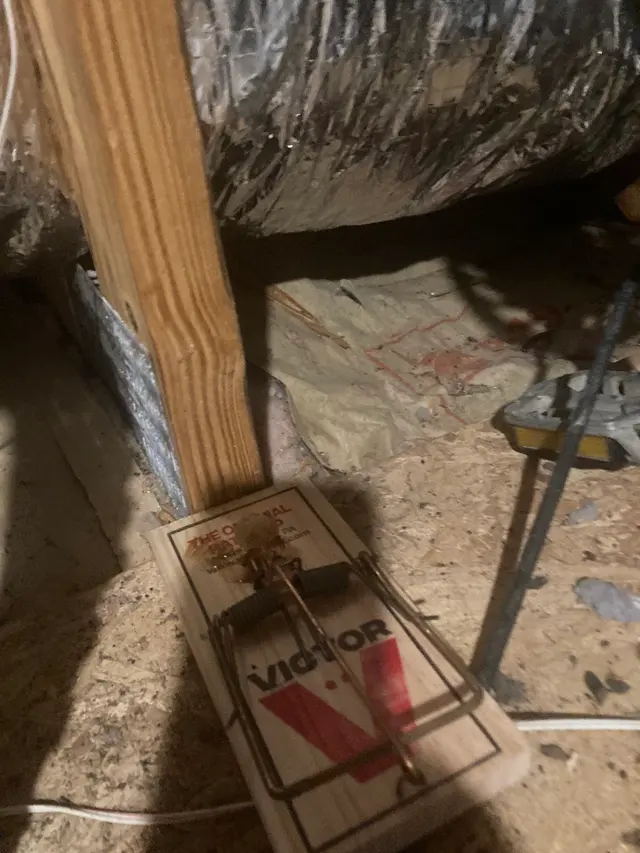 Dave's Pest Control - Lakeland — photo from the business 10