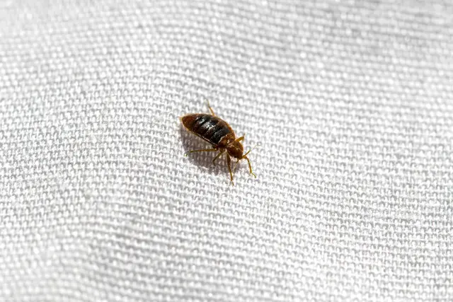 Dave's Pest Control - Lakeland — photo from the business 3