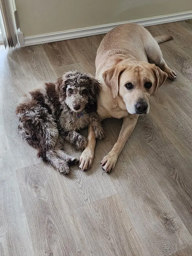 Cascade Pest Control — customer photo 6