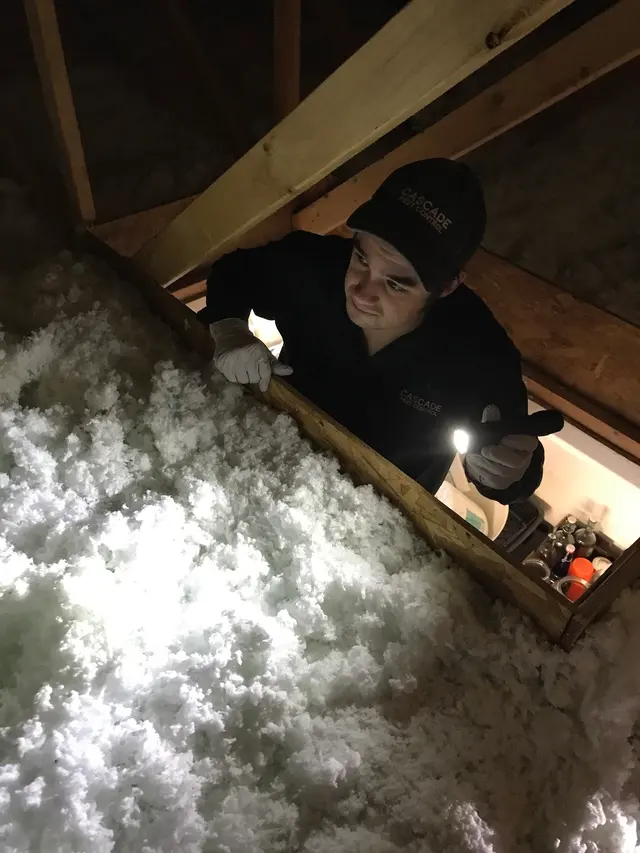 Cascade Pest Control — photo from the business 9