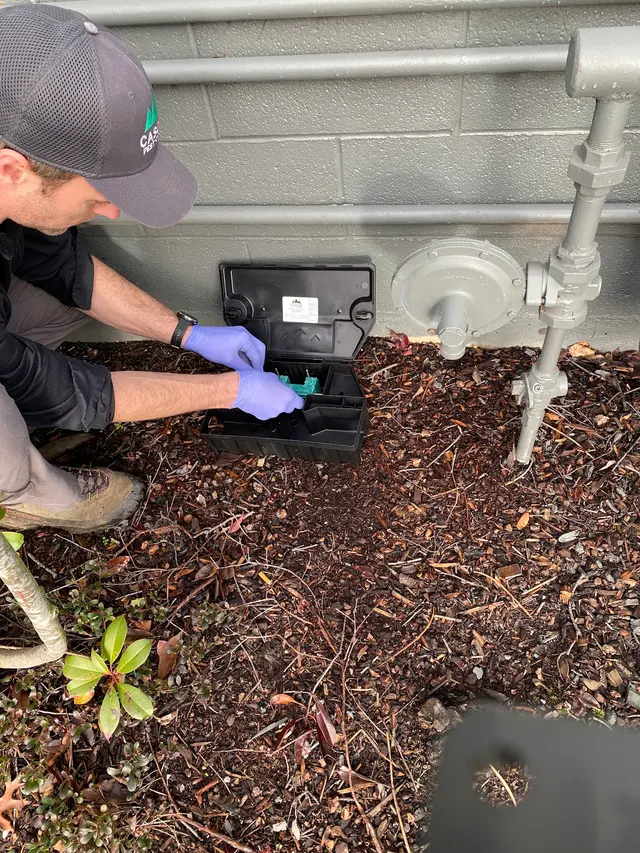 Cascade Pest Control — photo from the business 3