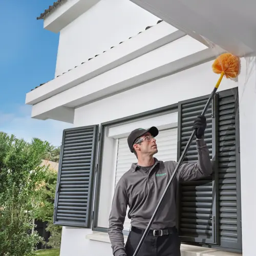 Terminix — photo from the business 11