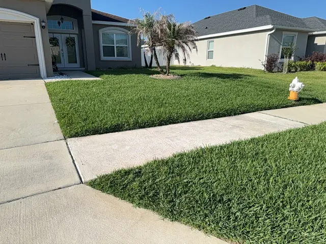 All Pest Off — photo from the business 3