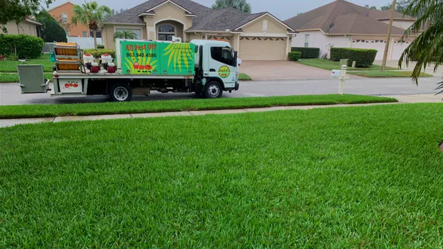 All Pest Off — photo from the business 2