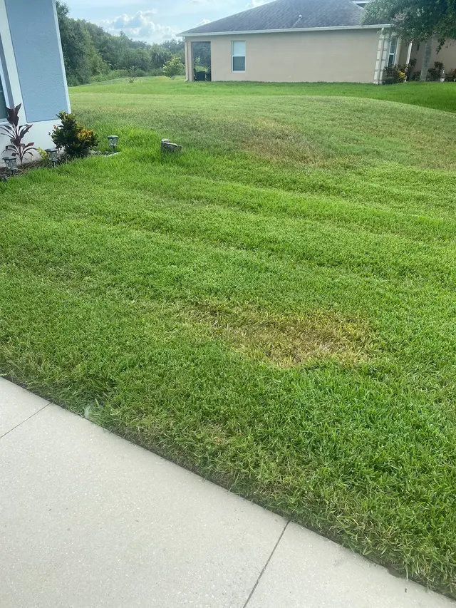 All Pest Off — customer photo 6