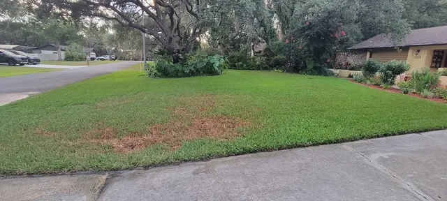 All Pest Off — customer photo 4