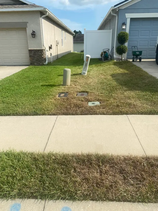 All Pest Off — customer photo 5