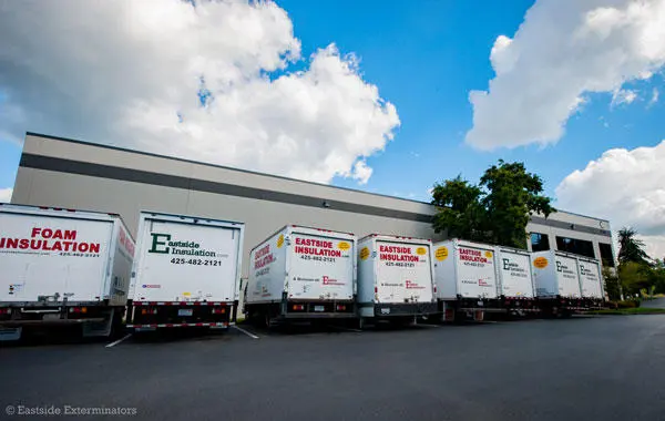 Eastside Exterminators — photo from the business 9