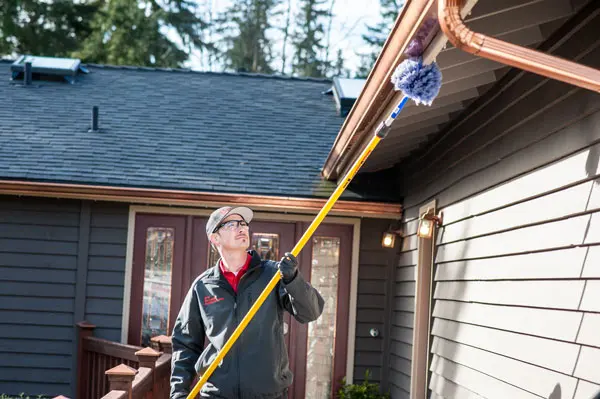 Eastside Exterminators — photo from the business 6