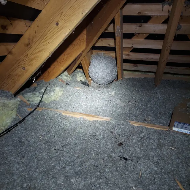 Customer photo from Allen's review