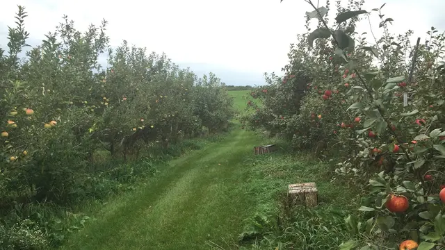 Blossom Hill Orchard & Farm — photo from the business 1