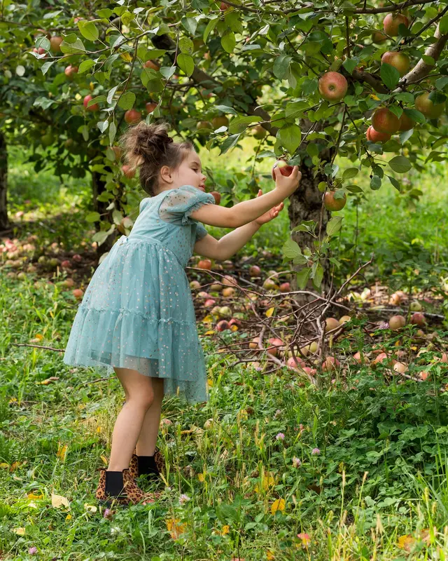 Blossom Hill Orchard & Farm — customer photo 7