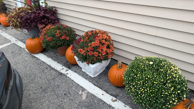 Blossom Hill Orchard & Farm — customer photo 2