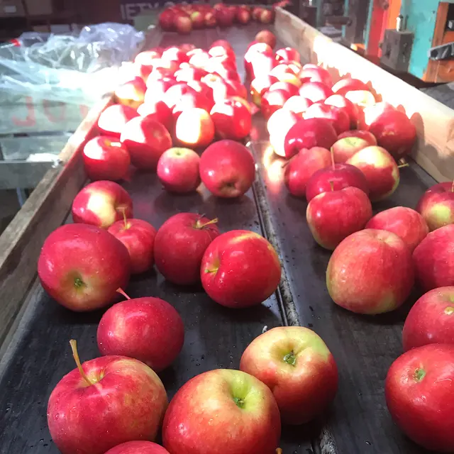 Blossom Hill Orchard & Farm — photo from the business 6