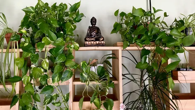 The Corner Studio Yoga — photo from the business 4