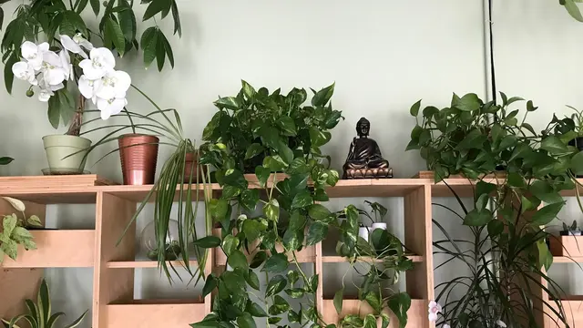 The Corner Studio Yoga — photo from the business 1