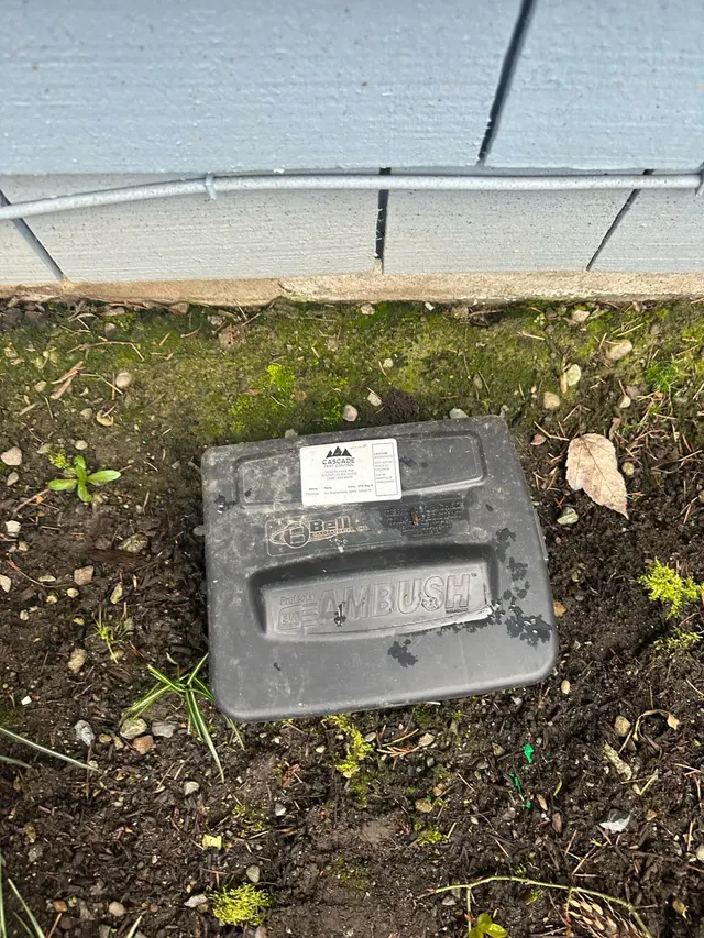 Cascade Pest Control — photo from the business 2