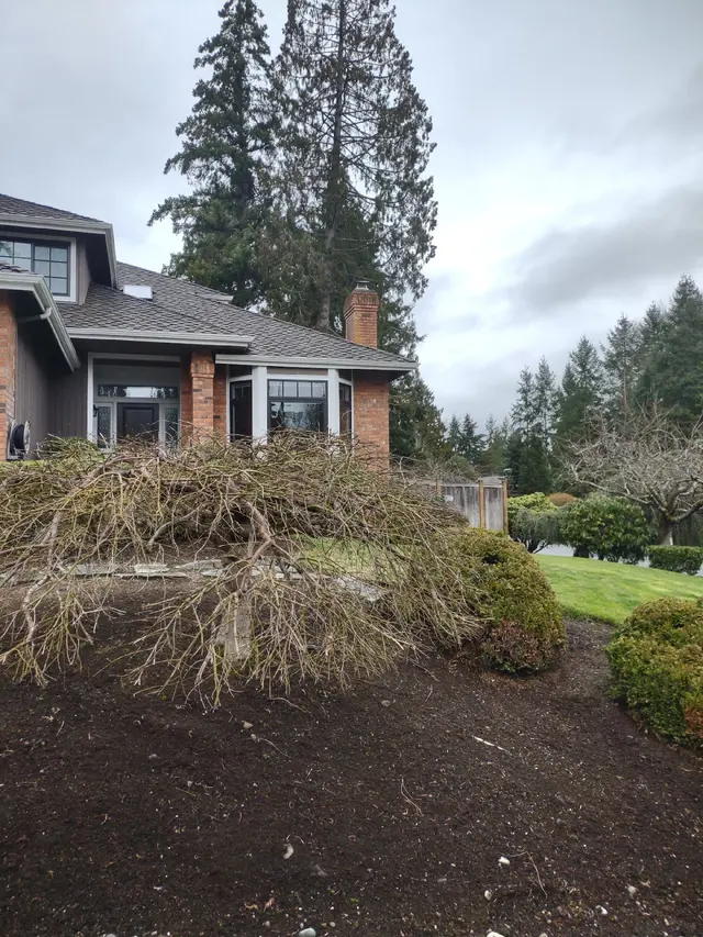 Cascade Pest Control — photo from the business 11