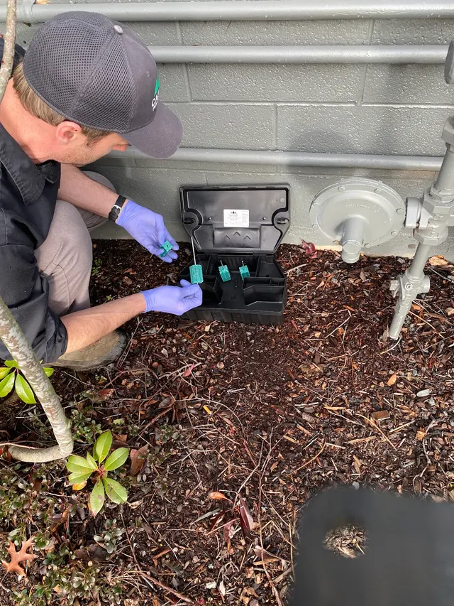 Cascade Pest Control — photo from the business 1