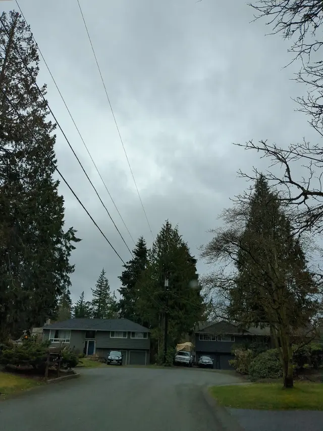 Cascade Pest Control — photo from the business 3