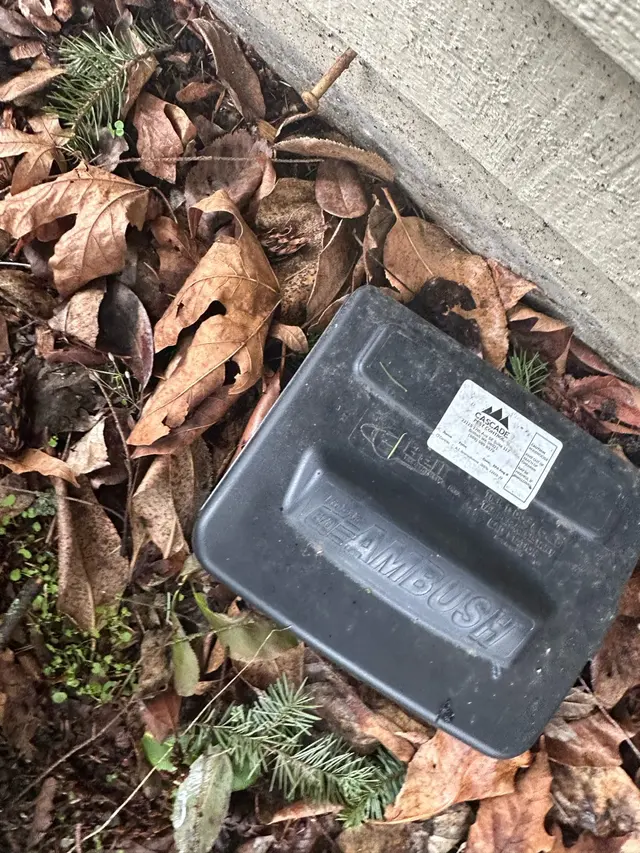 Cascade Pest Control — photo from the business 8