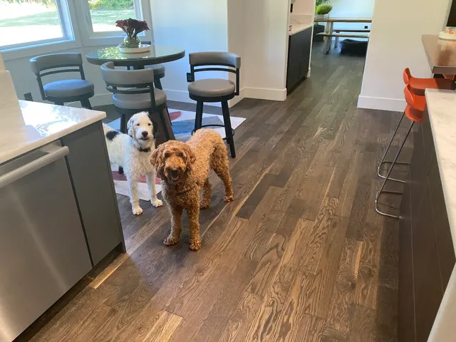 Issaquah Pest Control — customer photo 4