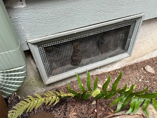 Issaquah Pest Control — customer photo 11