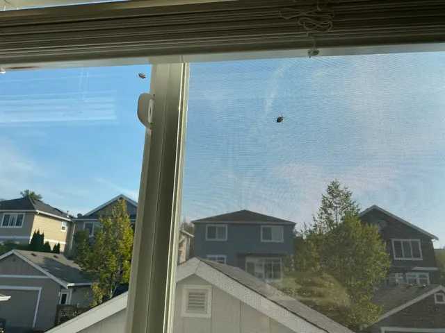 Issaquah Pest Control — customer photo 12