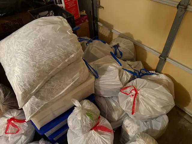 Dump the Junk NJ — customer photo 5