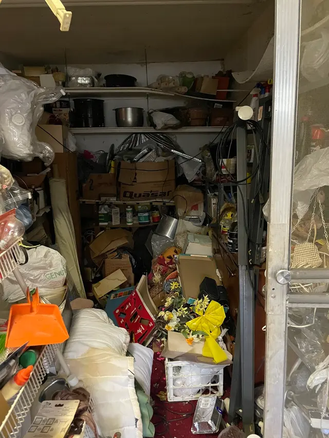 Dump the Junk NJ — customer photo 4
