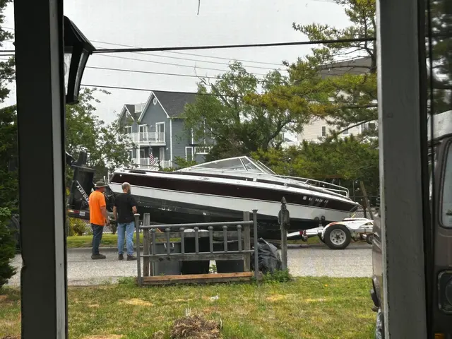 Customer photo of work by A-LOT-CLEANER, INC, Dumpster Rentals, Junk Removal, Clean Outs, from Laura Roleke's review