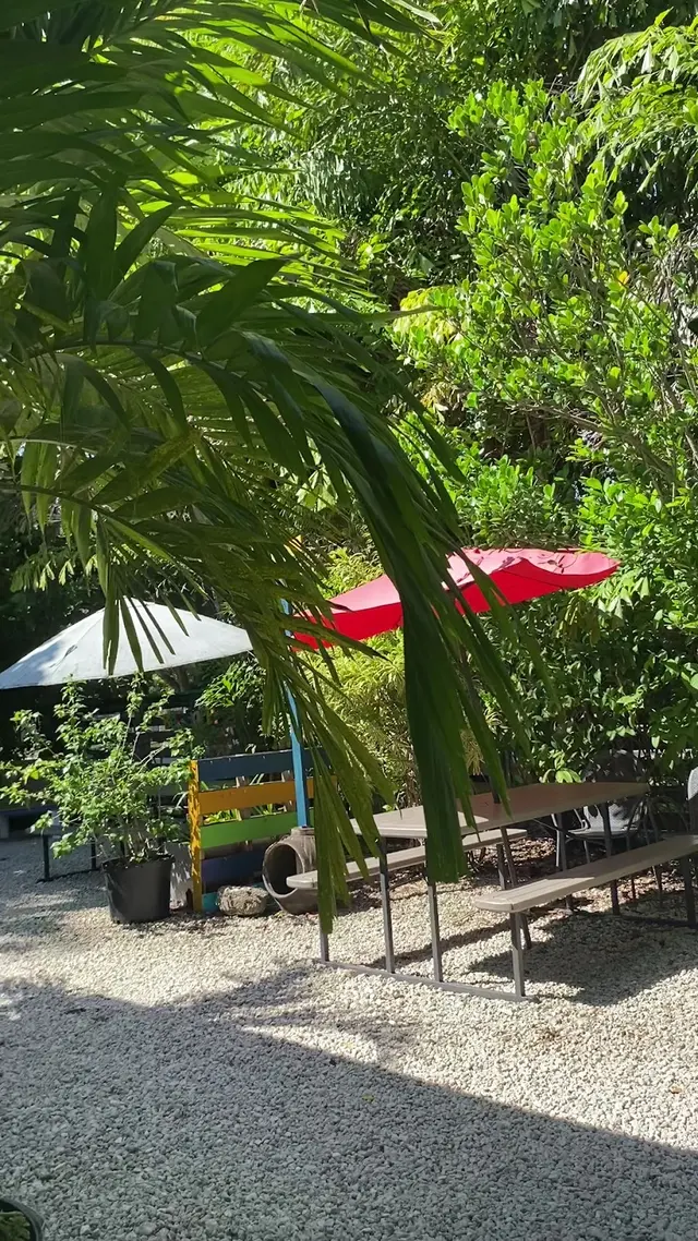 Customer photo of work by Aguacate Garden of Love, from brickell brick's review