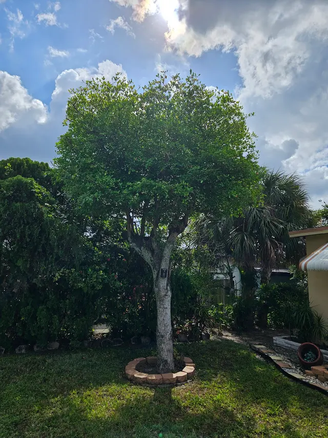 AB INFINITY LAWN CARE, LLC — photo from the business 5