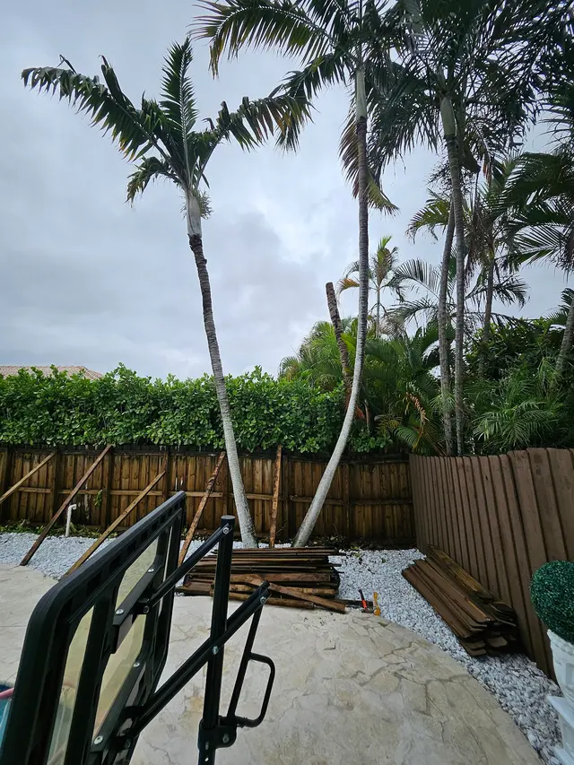 AB INFINITY LAWN CARE, LLC — photo from the business 12