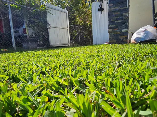 AB INFINITY LAWN CARE, LLC — photo from the business 9