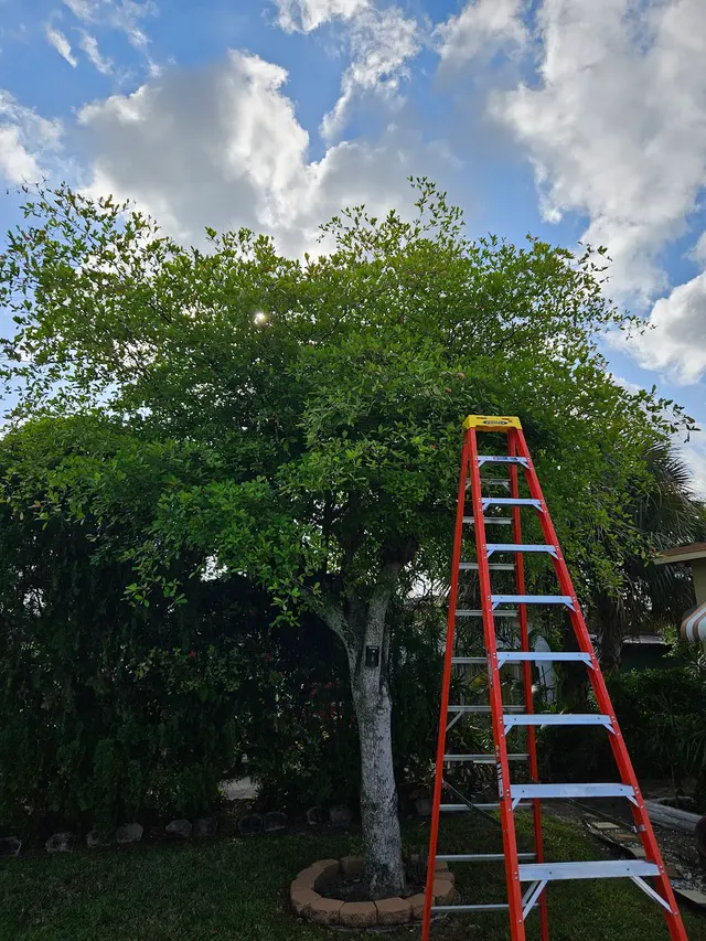 AB INFINITY LAWN CARE, LLC — photo from the business 7