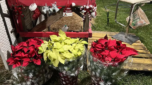 Santa’s Garden Flagler — photo from the business 6