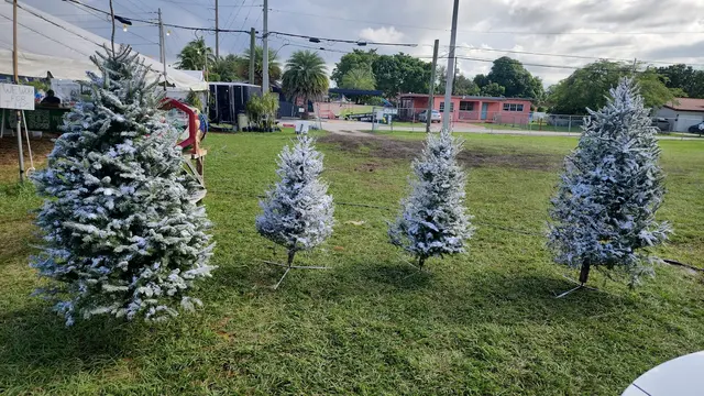 Santa’s Garden Flagler — photo from the business 12