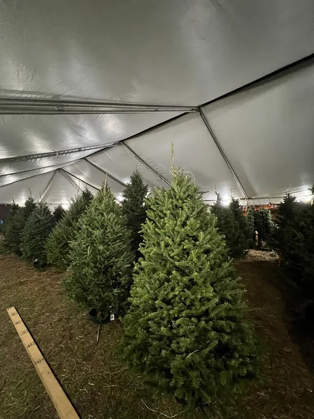 Santa’s Garden Flagler — customer photo 3