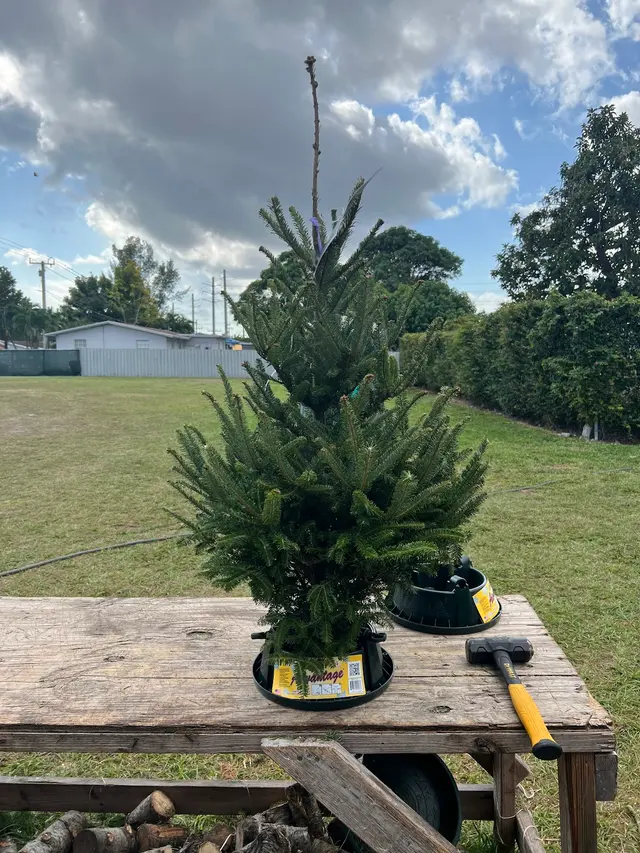 Santa’s Garden Flagler — photo from the business 7