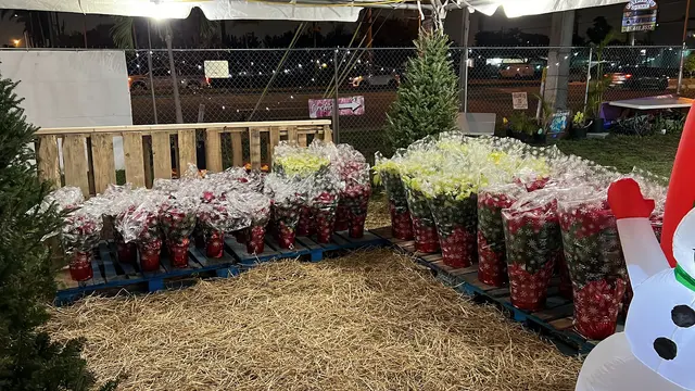 Santa’s Garden Flagler — photo from the business 5