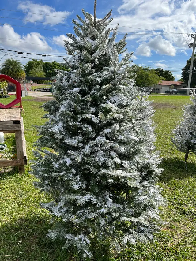 Santa’s Garden Flagler — photo from the business 1