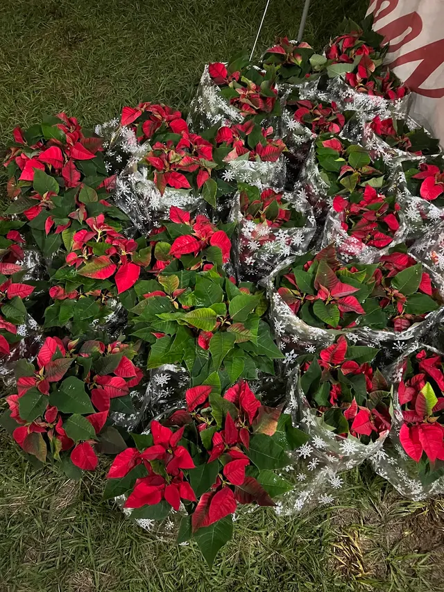 Santa’s Garden Flagler — photo from the business 9