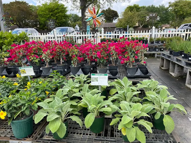 Casaplanta Garden Center — photo from the business 7