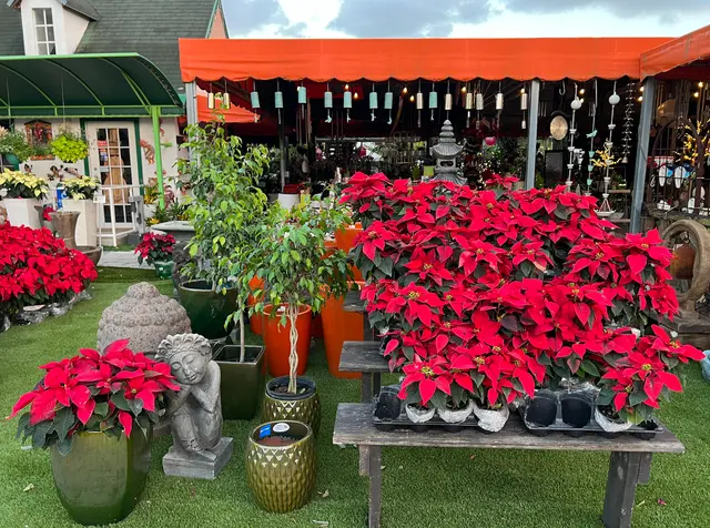 Casaplanta Garden Center — photo from the business 8